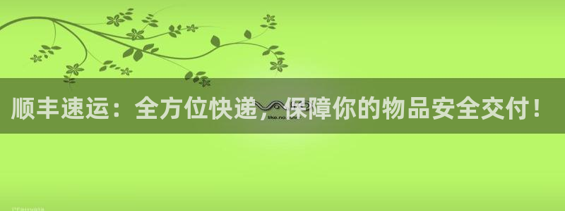 tp钱包下载官网app最新版本：顺丰