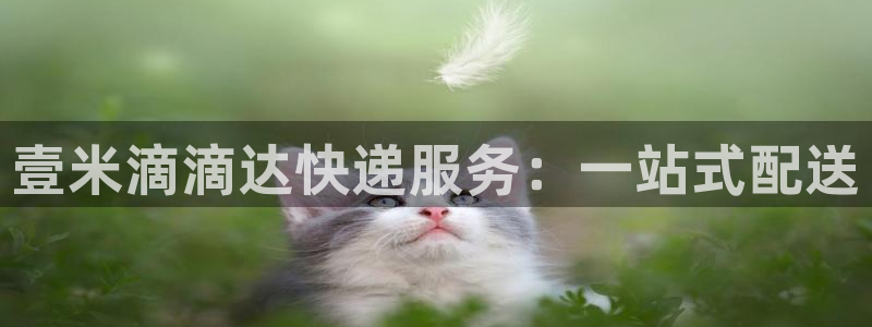 tp钱包无法更新：壹米滴滴达快递服务