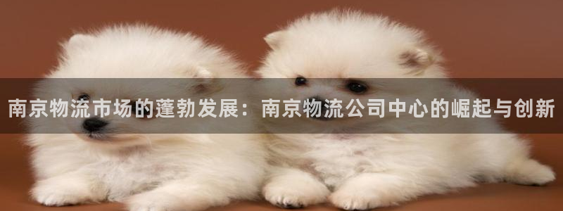 tp钱包官方客服