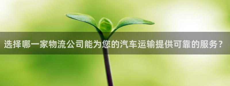 tp钱包怎么买卖币