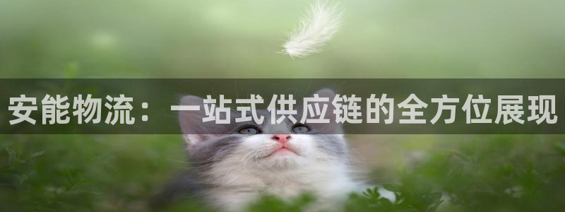 tp钱包bnb怎么提现：安能物流：一