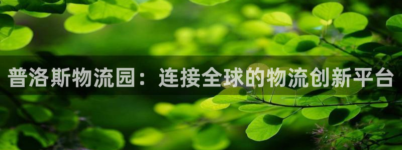 tp钱包usdt怎么转出：普洛斯物流