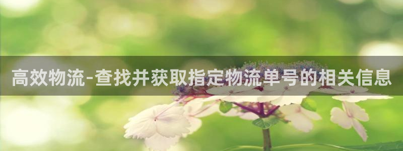 tp钱包ios版下载：高效物流-查找