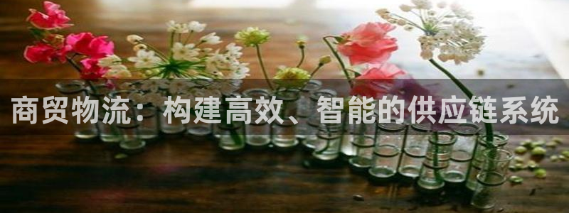 tp钱包客服能找到被盗的u吗：商贸物