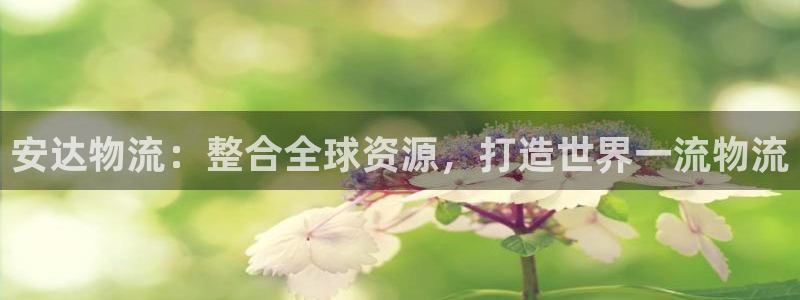 tp钱包usdt跨链：安达物流：整合