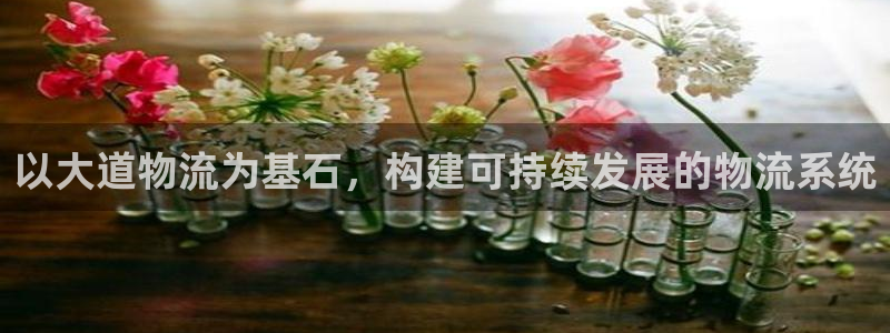 tp钱包怎么转usdt：以大道物流为