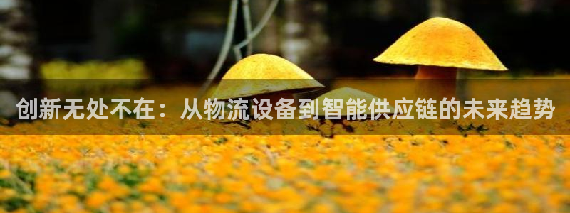 tp钱包好用吗：创新无处不在：从物流