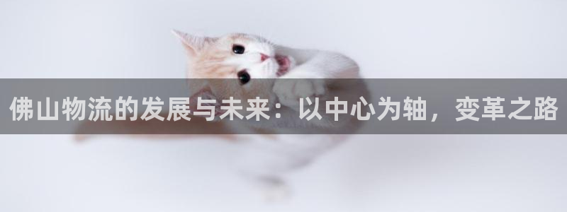 tp钱包用户量：佛山物流的发展与未来