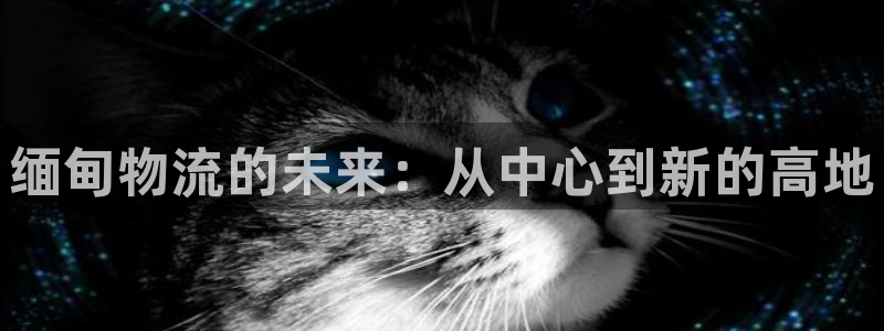 TP钱包可以给USDT钱包转账吗：缅