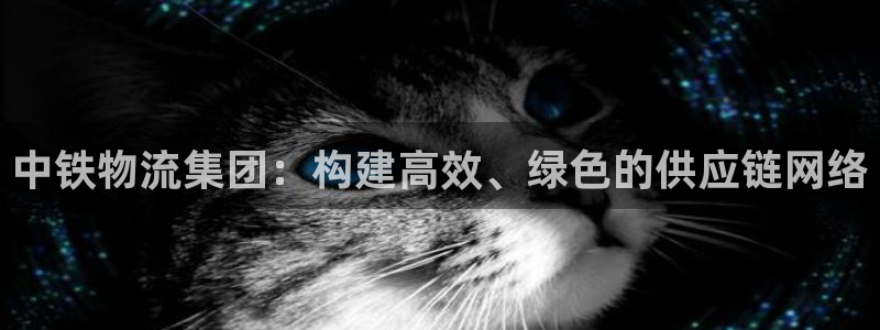 tp数字钱包官网下载app：中铁物流