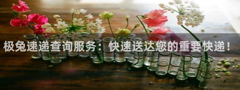 tp钱包充值usdt：极兔速递查询服
