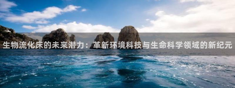 tp钱包官网免费下载：生物流化床的未