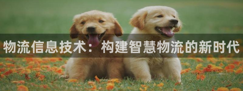 tp钱包最新版本下载app官网正版：
