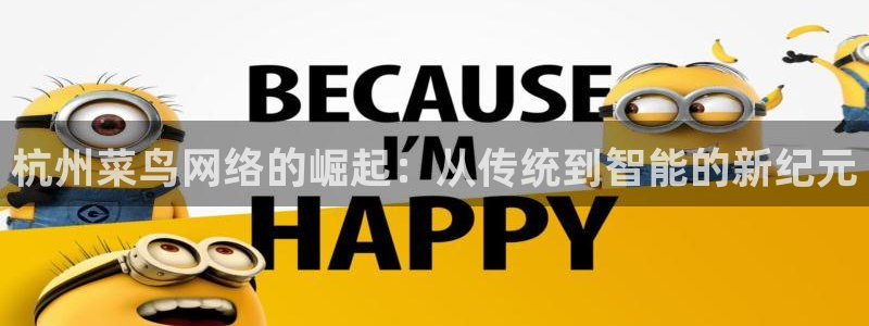tp钱包和im钱包有什么区别：杭州菜鸟网络的崛起：从传统到智