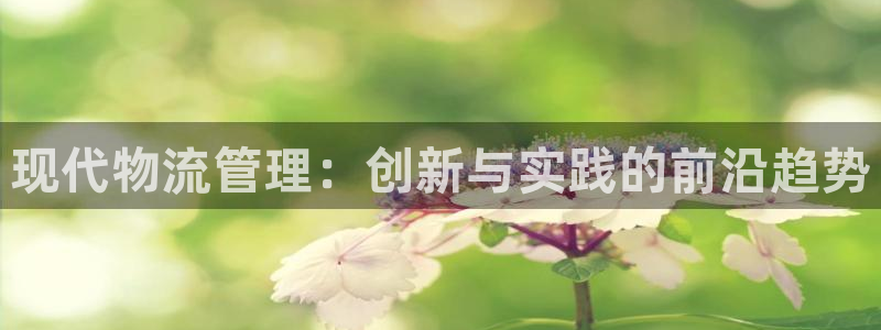 tp钱包购买sol链土狗用哪个dap