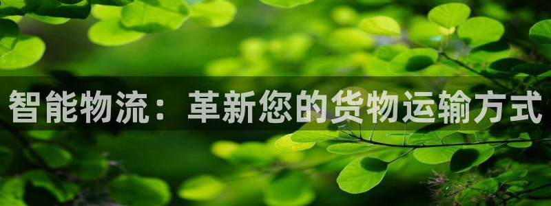tp钱包有什么用：智能物流：革新您的