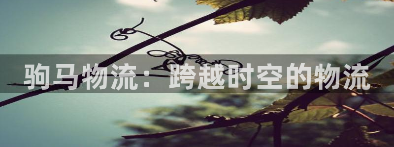 tp钱包如何创建几个帐号：驹马物流：