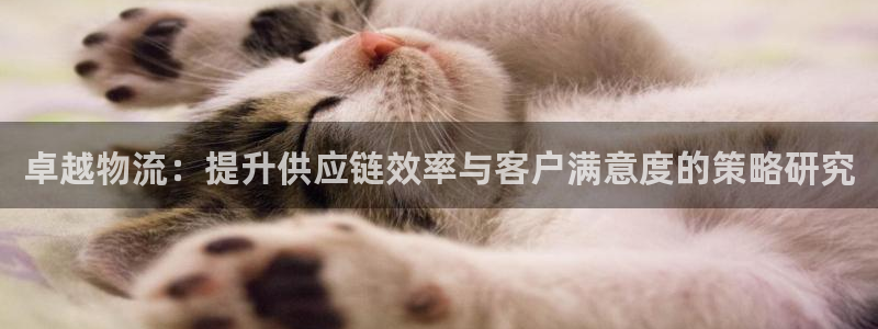 扫二维码tp钱包被盗：卓越物流：提升