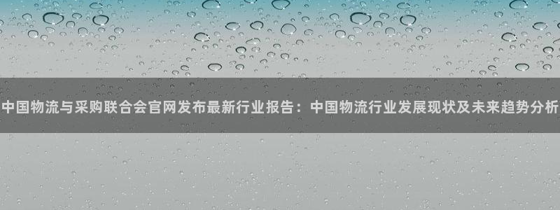 tp钱包usdt兑换bnb：中国物流