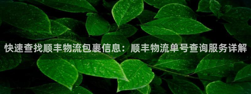 tp钱包中国官网下载：快速查找顺丰物