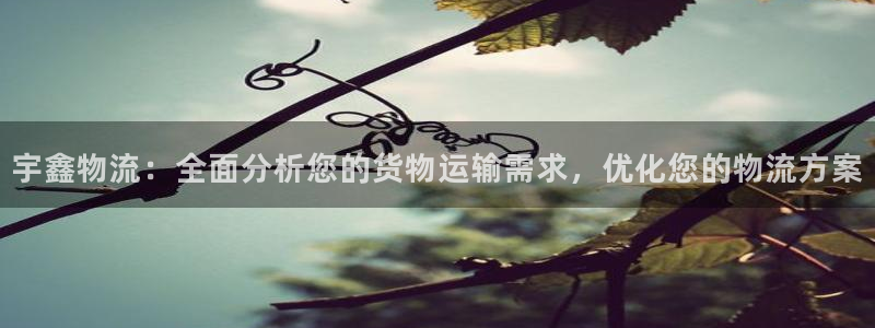 tp钱包怎么卖u：宇鑫物流：全面分析