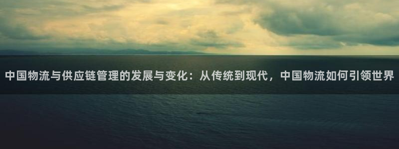 Tp钱包怎样下刨建子钱包：中国物流与