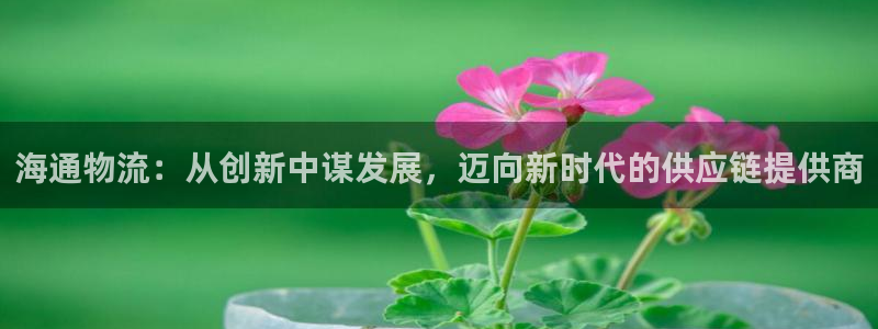 苹果下载tp钱包教程：海通物流：从创新中谋发展，迈向新时代的