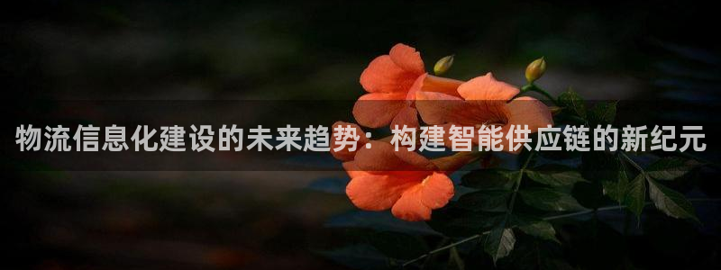 tp钱包被盗怎么联系客服：物流信息化