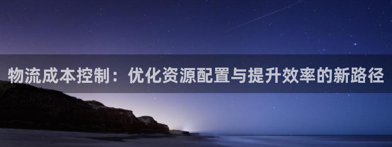 tp钱包pro：物流成本控制：优化资