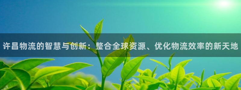 tp钱包苹果手机下载：许昌物流的智慧