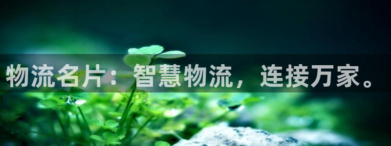 如何下载tp钱包：物流名片：智慧物流