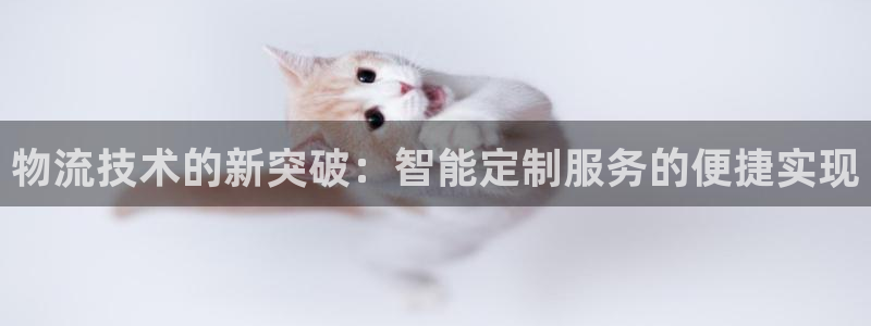tp钱包如何转出：物流技术的新突破：