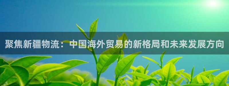 tp观察钱包怎么转账：聚焦新疆物流：