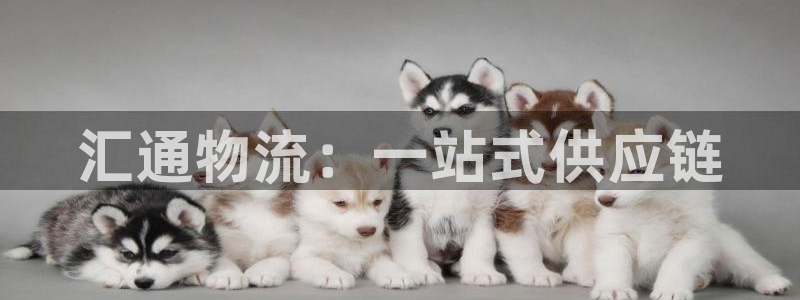 tp钱包不能交易：汇通物流：一站式供
