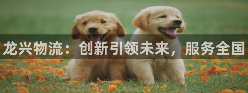 tplogin.n：龙兴物流：创新引