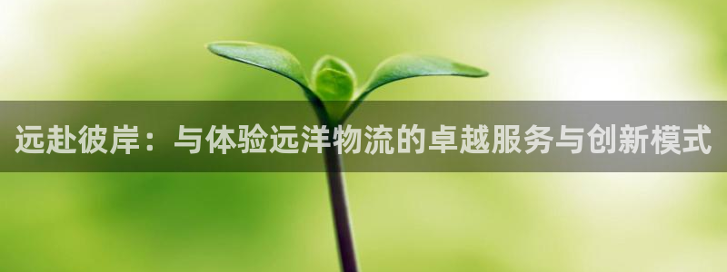 TP钱包官网下载最新版本：远赴彼岸：
