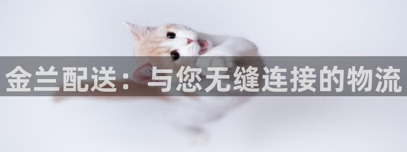 tp钱包怎么充值eth矿工费：金兰配