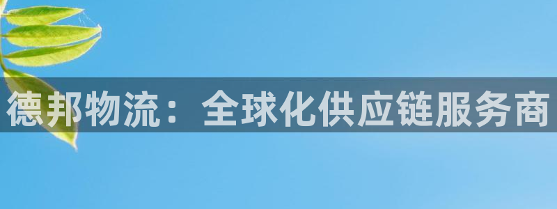 tp钱包如果跑路币还在吗：德邦物流：全球化供应链服务商