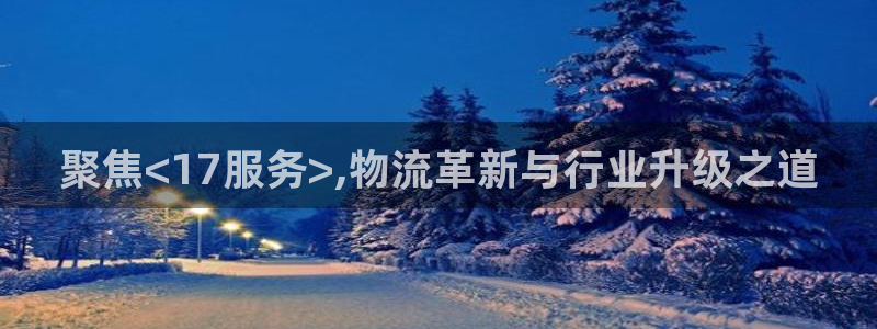TP钱包Chick余额：聚焦<17服