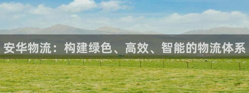 tplogin.on：安华物流：构建