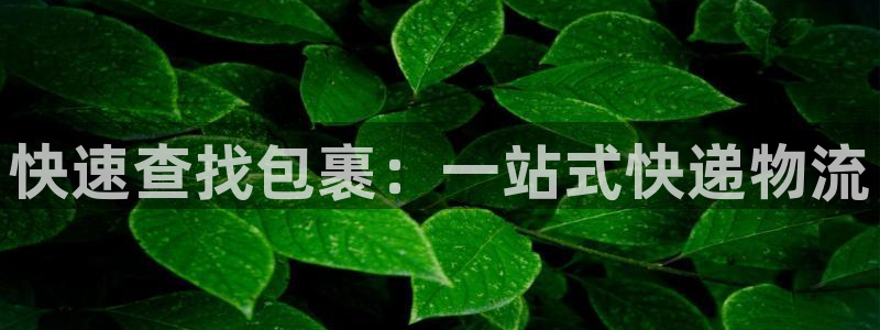 TP钱包被盗最简单三个步骤