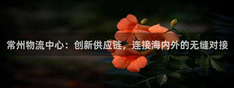 tp钱包怎么查持币地址