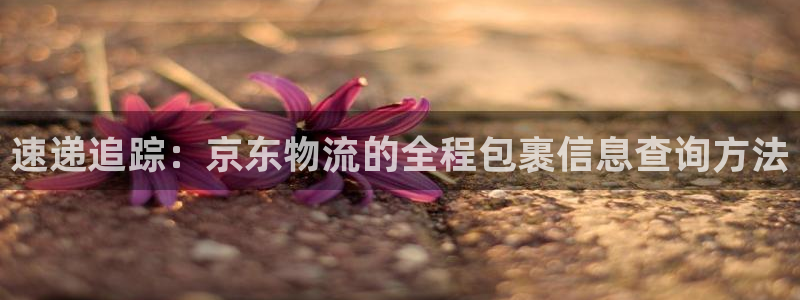 TP钱包可以给USDT钱包转账吗