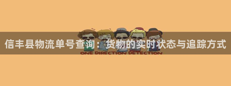 tp钱包怎样充值：信丰县物流单号查询：货物的实时状态与追踪方