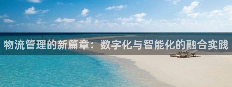 tp官方下载地址：物流管理的新篇章：数字化与智能化的融合实践